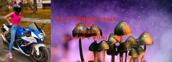spice Няндома