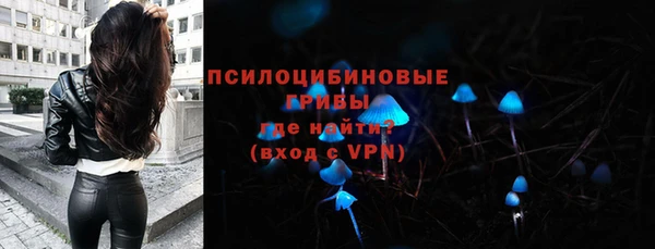 бутират Богородицк