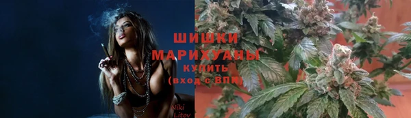 стаф Богородск