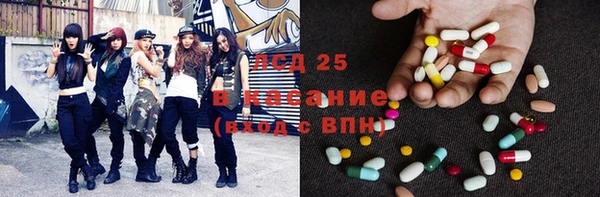 трава Беломорск